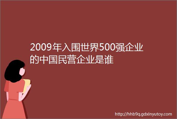 2009年入围世界500强企业的中国民营企业是谁